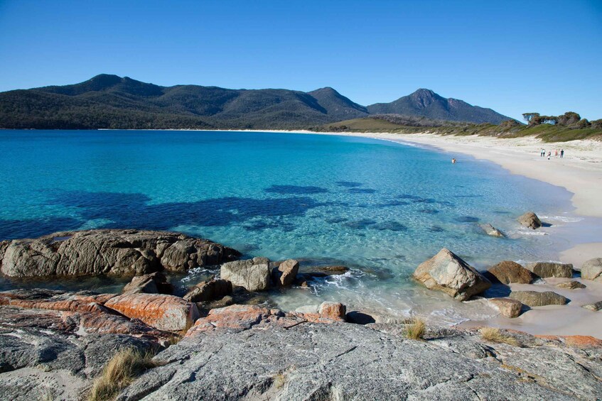 Picture 5 for Activity Tasmania: 5-Day Highlights Tour with Cradle Mountain