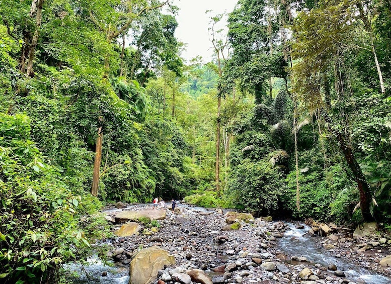 Picture 4 for Activity Lombok Waterfall Tour North Lombok