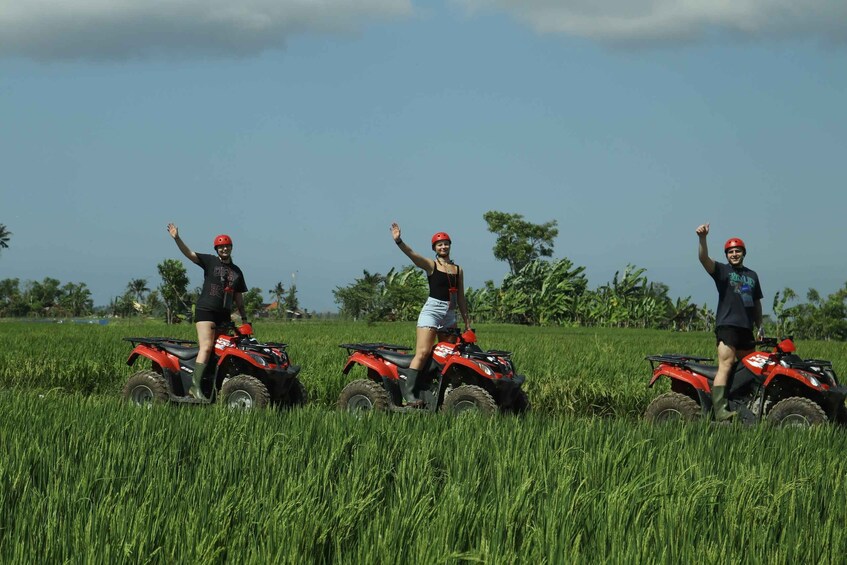 Picture 5 for Activity Ubud Atv Quad Bike With Lunch