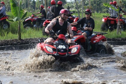 Ubud Atv Quad Bike Con Almuerzo