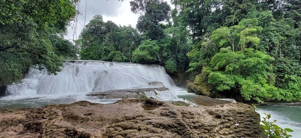 Picture 2 for Activity From Palenque: Roberto Barrios and El Salto Waterfalls Tour