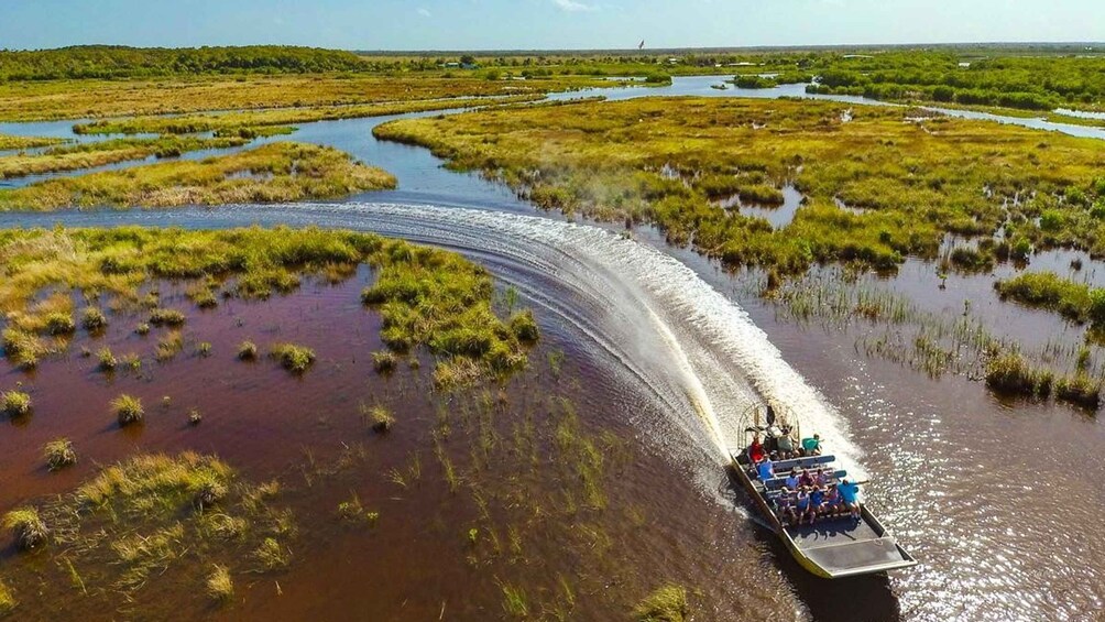 Picture 4 for Activity Everglades: Mangrove, Grassland Airboat Tours, & Boardwalk