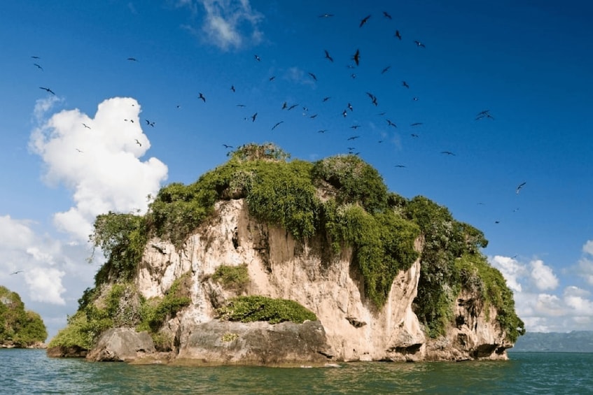 Picture 2 for Activity From Samana: Los Haitises Boat and Walking Tour with Lunch