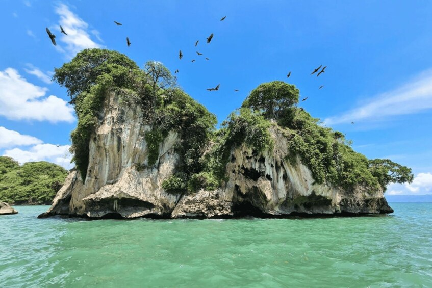 Picture 8 for Activity From Samana: Los Haitises Boat and Walking Tour with Lunch