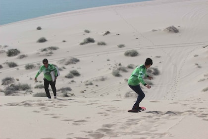 Sonora:Tour to the Sand Dunes of the desert in San Nicolás