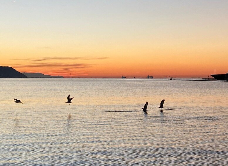 Picture 5 for Activity Sunset Boat Tour with Aperitivo & swim in natural park