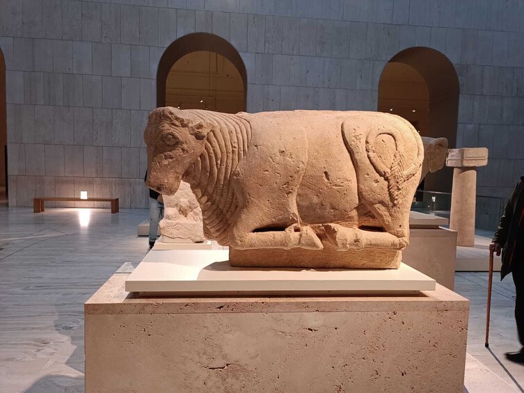 visit to the Archaeological Museum in Madrid