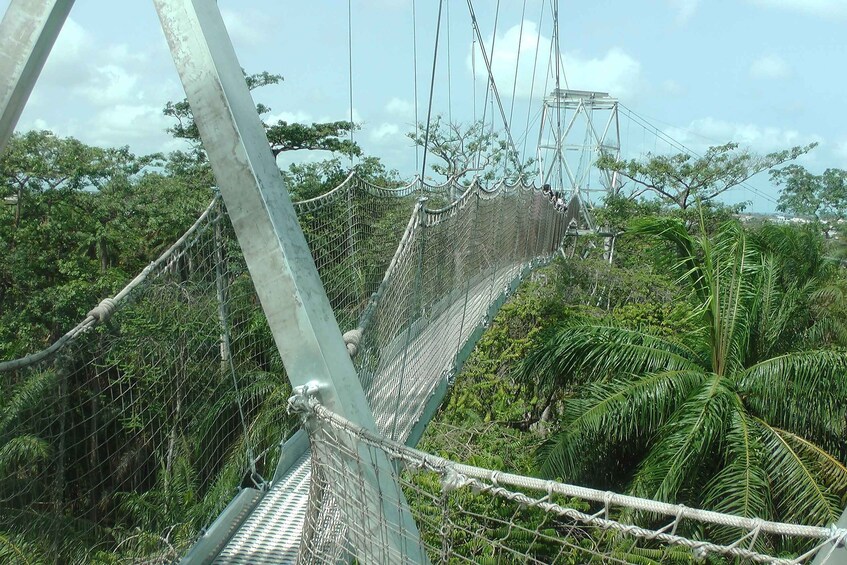 Lekki Conservation Center Extraordinary Tour