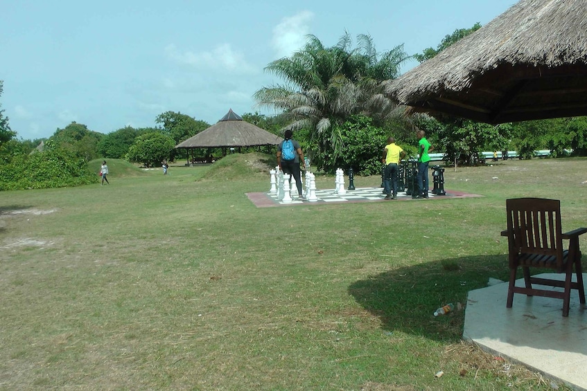 Picture 3 for Activity Lekki Conservation Center Extraordinary Tour