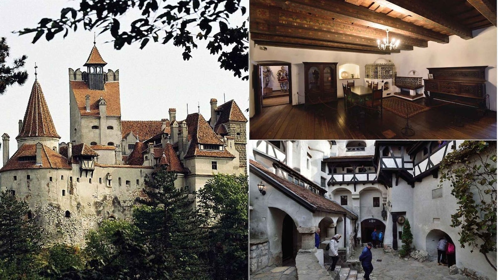 Picture 17 for Activity One day trip Bear Sanctuary, Dracula Castle