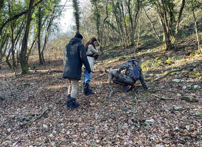 Picture 21 for Activity Truffle Hunting in Chianti with Pasta CookingClass and Lunch