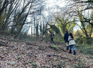 Truffle Hunting in Chianti with Pasta CookingClass and Lunch