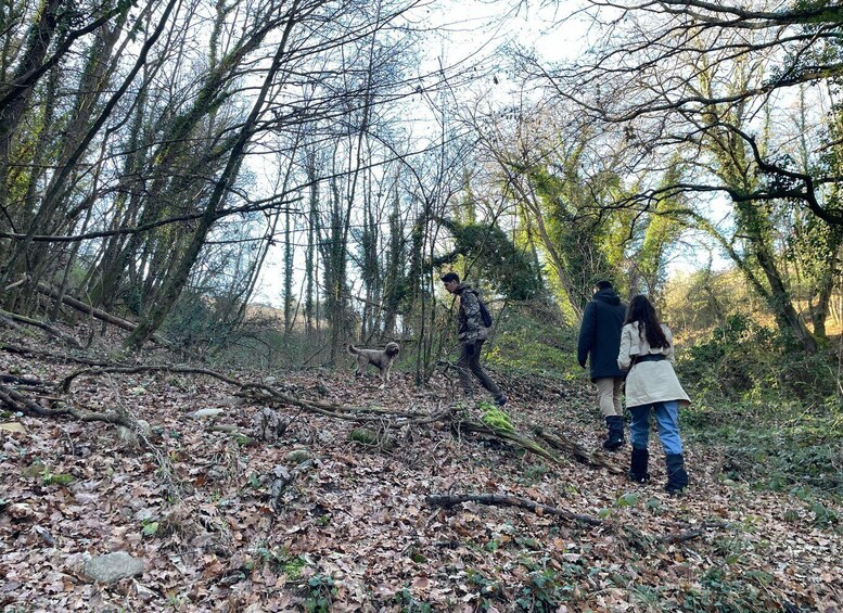 Truffle Hunting in Chianti with Pasta CookingClass and Lunch