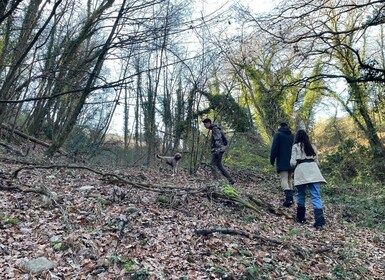 Truffle Hunting in Chianti with Pasta CookingClass and Lunch