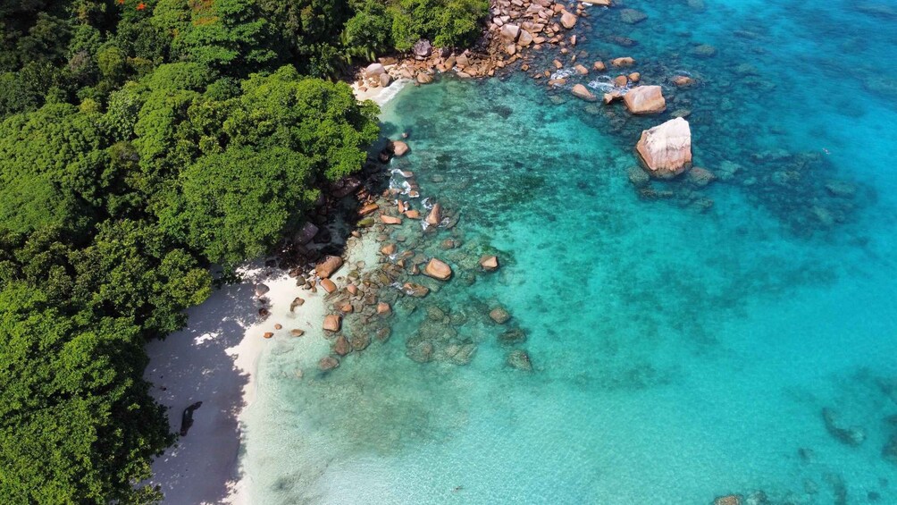 Picture 6 for Activity Private Praslin & La Digue Day Trip
