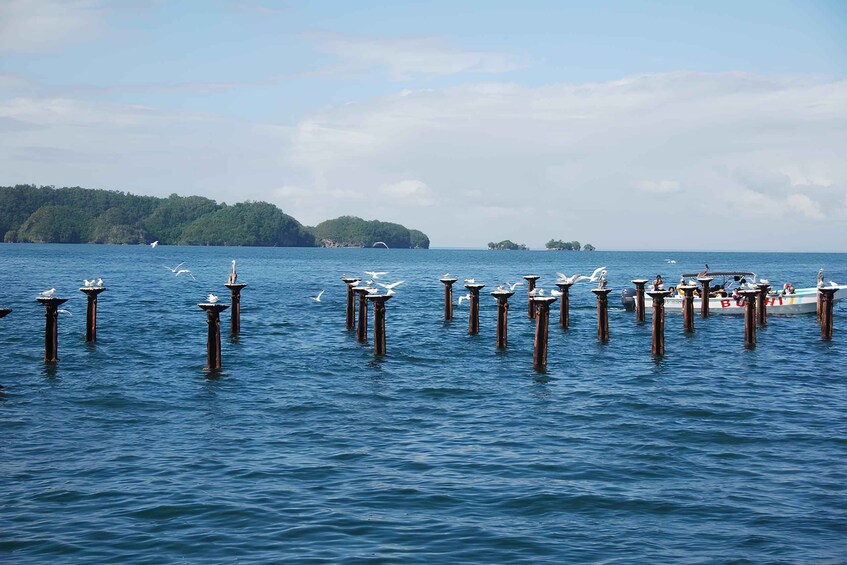 Tour Los Haitises, Montaña Redonda y Cascada Yanigua