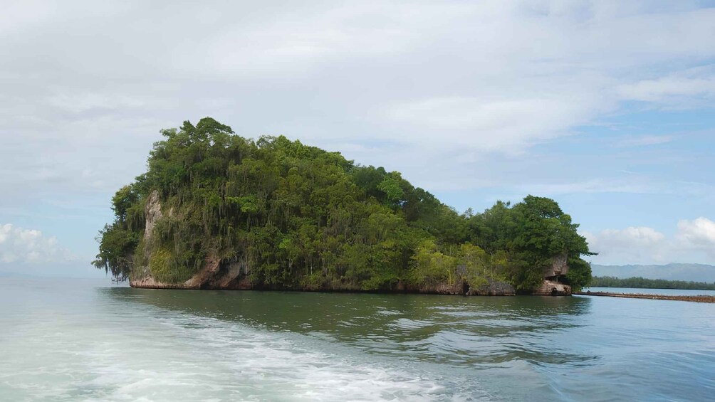 Picture 6 for Activity Tour Los Haitises, Montaña Redonda y Cascada Yanigua