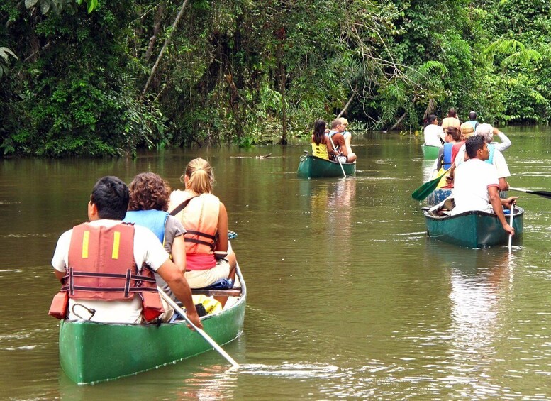 Picture 2 for Activity 4 Days Amazon Tena Lodge