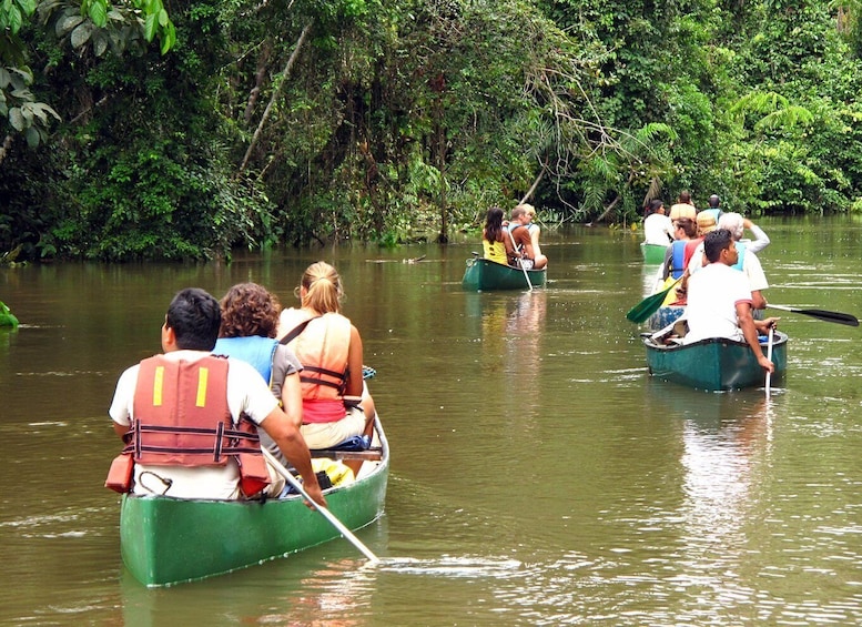 Picture 2 for Activity 4 Days Amazon Tena Lodge