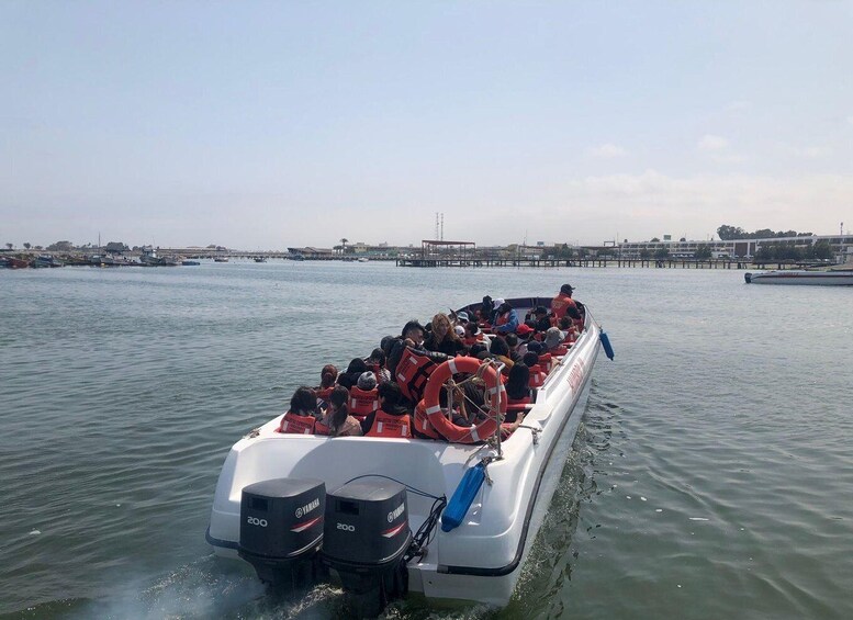 Picture 1 for Activity From Lima: Day Trip to Paracas, Ica & Oasis Huacachina