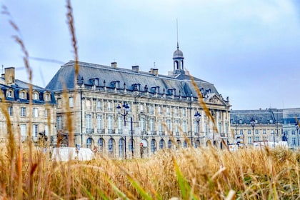 Bordeaux : Histoire privée exclusive excursion avec un expert local