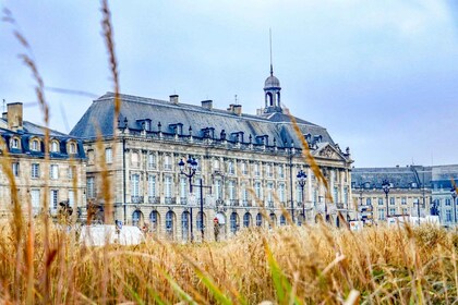 Bordeaux : Histoire privée exclusive excursion avec un expert local