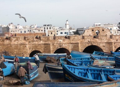 From Agadir: Essaouira Guided Day Trip