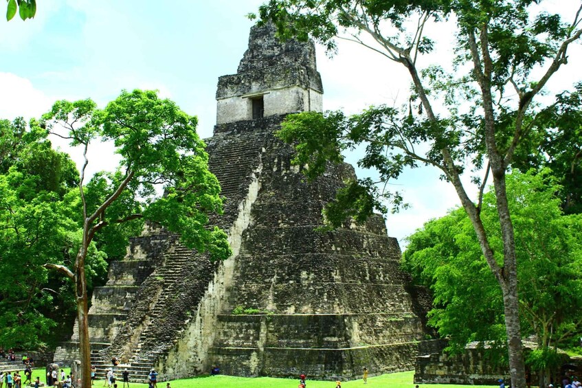 Picture 3 for Activity Tikal Tour Grupal Exclusivo