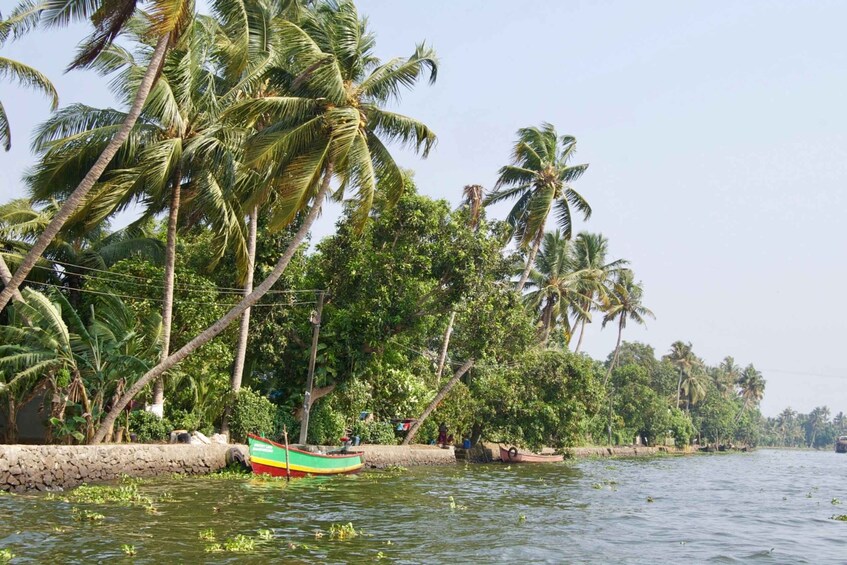 Picture 2 for Activity From Kochi: Private Backwater Houseboat Cruise Tour