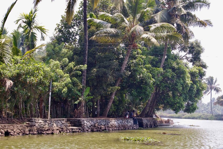 Picture 5 for Activity From Kochi: Private Backwater Houseboat Cruise Tour