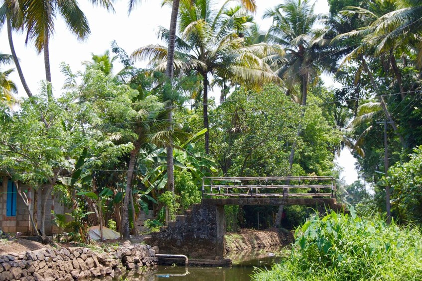 Picture 4 for Activity From Kochi: Private Backwater Houseboat Cruise Tour