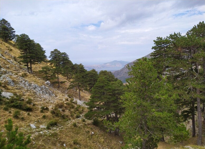 Vlore : The forgotten caravans routes in the mountains