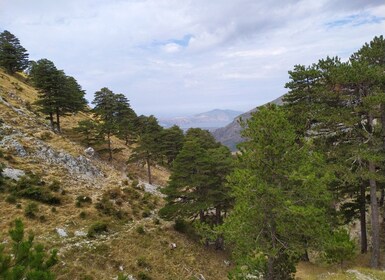 Vlore : The forgotten caravans routes in the mountains