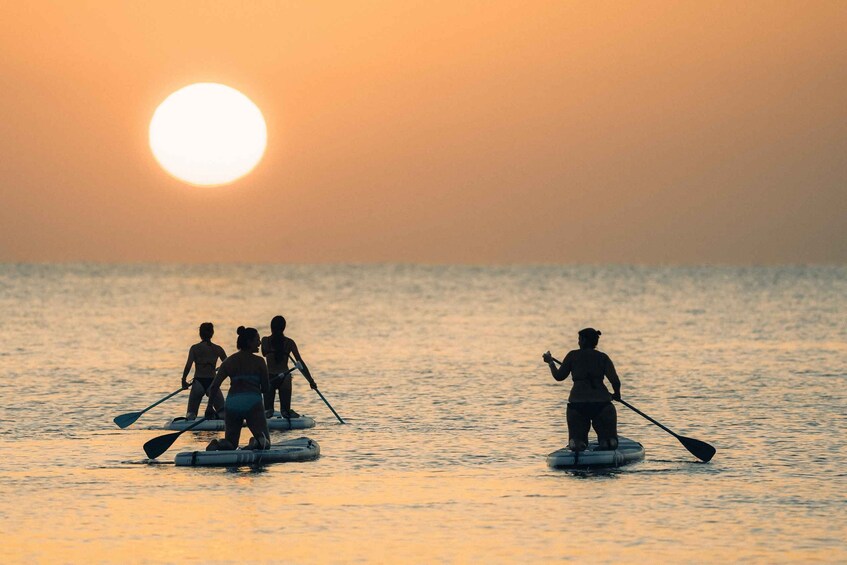 Picture 3 for Activity Torrevieja: SUP Paddleboard Rental on Los Locos Beach