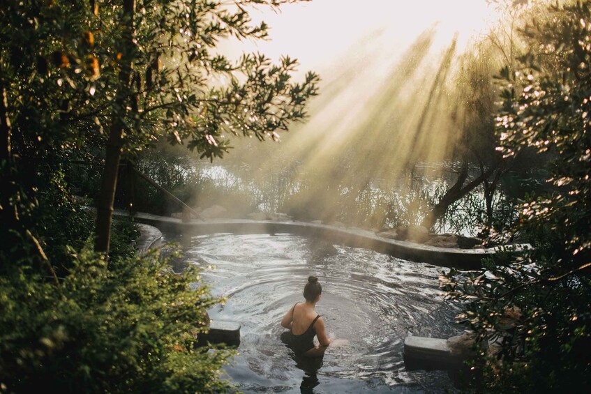 Picture 4 for Activity Peninsula Hot Springs: Tea Ceremony