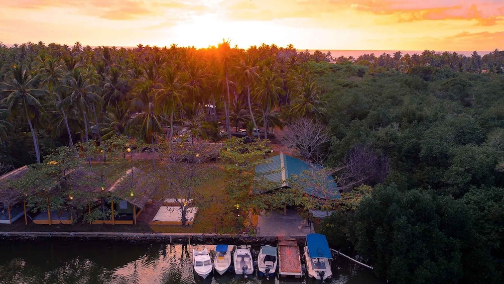 Picture 8 for Activity Sunset Kayaking on the Negombo Lagoon