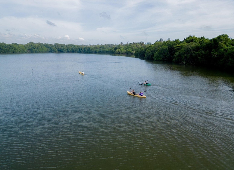 Picture 2 for Activity Sunset Kayaking on the Negombo Lagoon