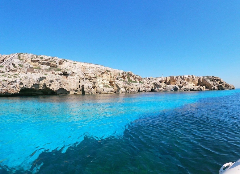 Picture 2 for Activity Favignana and Levanzo Island: Swim, Snorkeling and Lunch