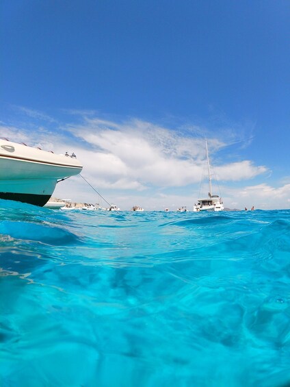 Picture 10 for Activity Favignana and Levanzo Island: Swim, Snorkeling and Lunch