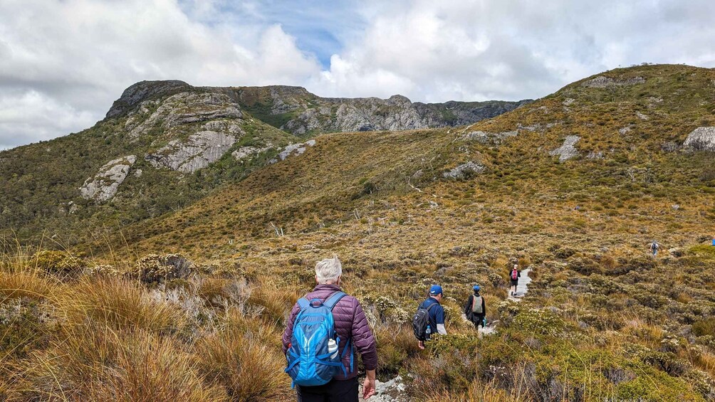 Picture 9 for Activity Tasmania: (New tour) 6-Day Small Group Nature-based Tour