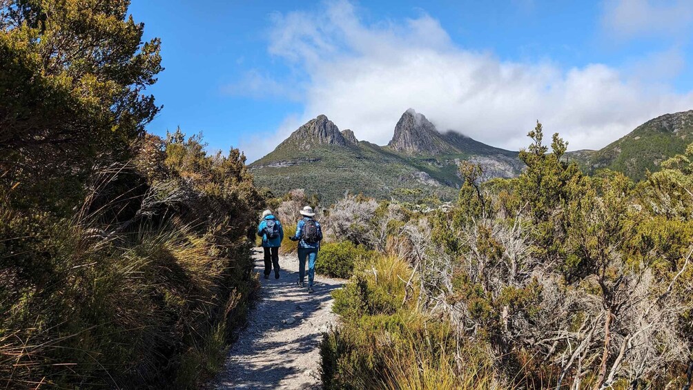 Picture 15 for Activity Tasmania: (New tour) 6-Day Small Group Nature-based Tour