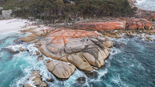 Tasmania: (Nuevo recorrido) Tour de 6 días en grupos pequeños basado en la ...