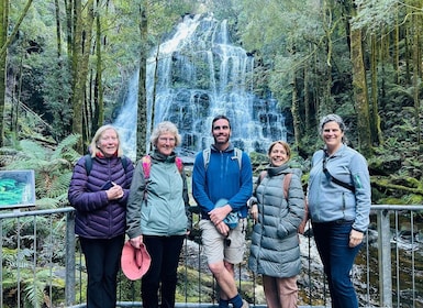 Tasmanien: 6-tägige Komfort-Tour für Wildnis und Tierwelt