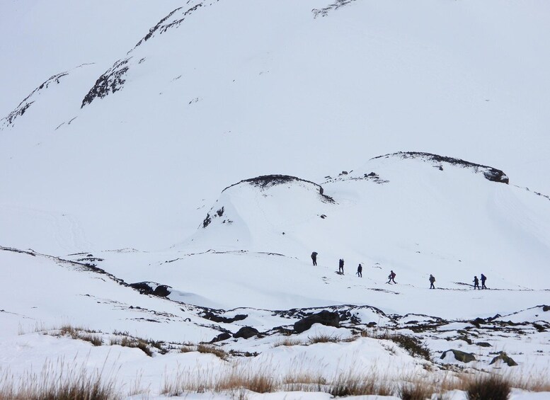 Picture 15 for Activity The Lakes & Volcanoes District: Multi-day Nature Experiences