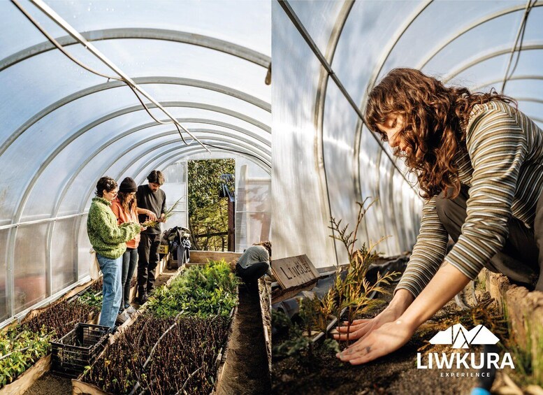 Picture 4 for Activity The Lakes & Volcanoes District: Multi-day Nature Experiences