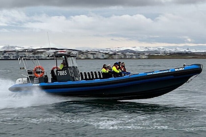 RIB RUSH - RIB Boat Adventure in Kopavogur, Iceland