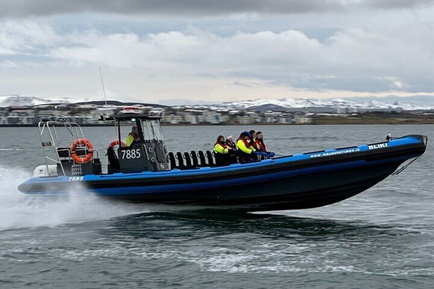 RIB RUSH - RIB boat adventure in Reykjavik, Iceland