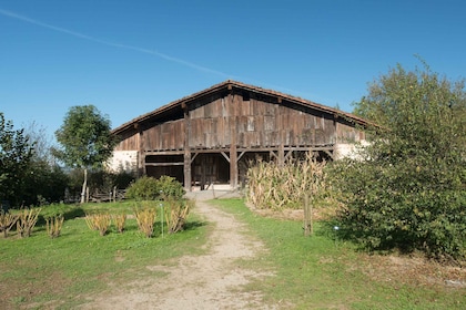 Granja de prensa vasca y sidrería tradicional con transporte