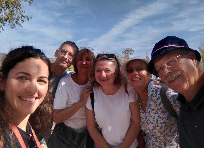 Picture 8 for Activity Guided tour of Medina Azahara only in french