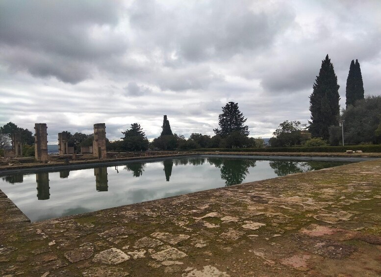 Picture 13 for Activity Guided tour of Medina Azahara only in french